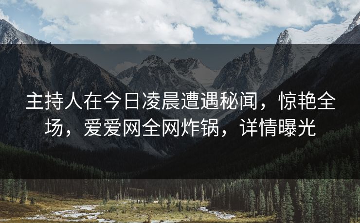 主持人在今日凌晨遭遇秘闻，惊艳全场，爱爱网全网炸锅，详情曝光