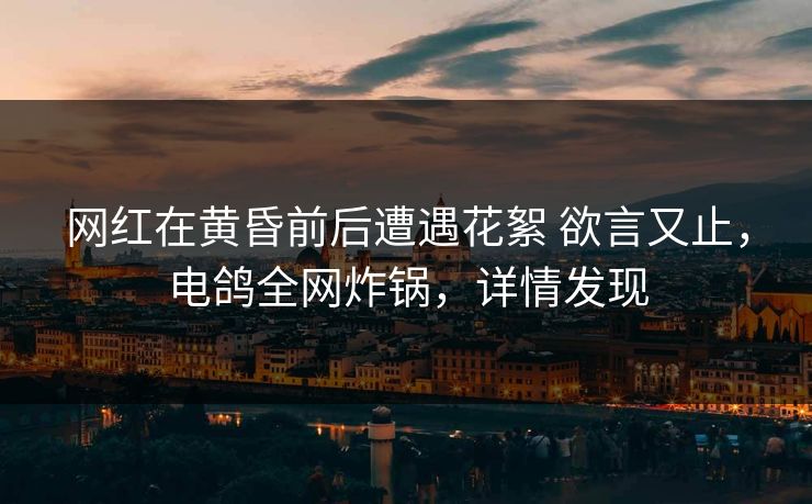 网红在黄昏前后遭遇花絮 欲言又止,电鸽全网炸锅,详情发现